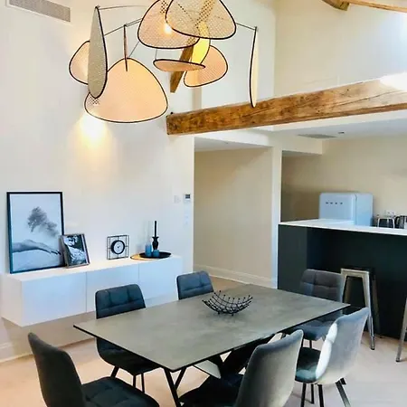 Appartement Loft Chic Carcassonne