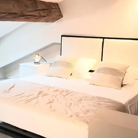 Loft Chic Apartment Carcassonne